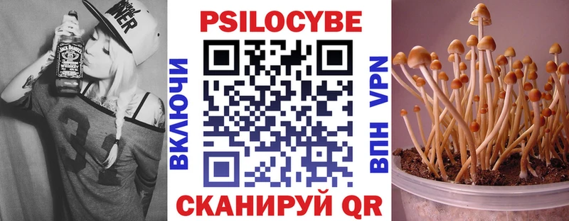 Псилоцибиновые грибы прущие грибы  где купить наркотик  Касли 